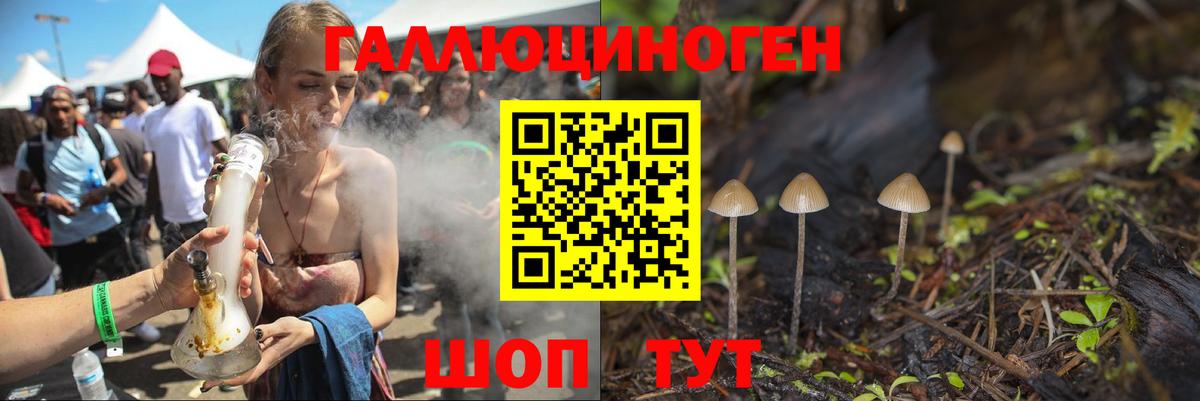 Галлюциногенные грибы мухоморы Керчь